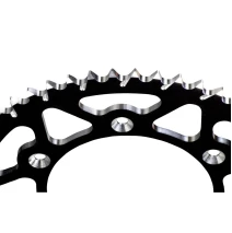 sprocket ESJOT fits onBeta RR 48z black