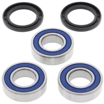 Wheel Bearing Kit rear fits on RM125/250 00-