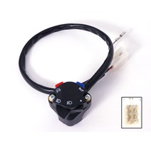 Killswitch/ lightswitch with compact plug