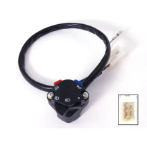 Killswitch/ lightswitch with compact plug
