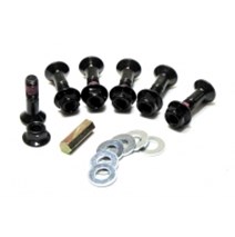 Bolt set of rosette screws