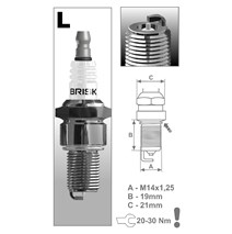 BRISK L10S spark plug