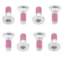 set of bolts 10pcs rear frame and starter lever fits Kawasaki M8x20mm